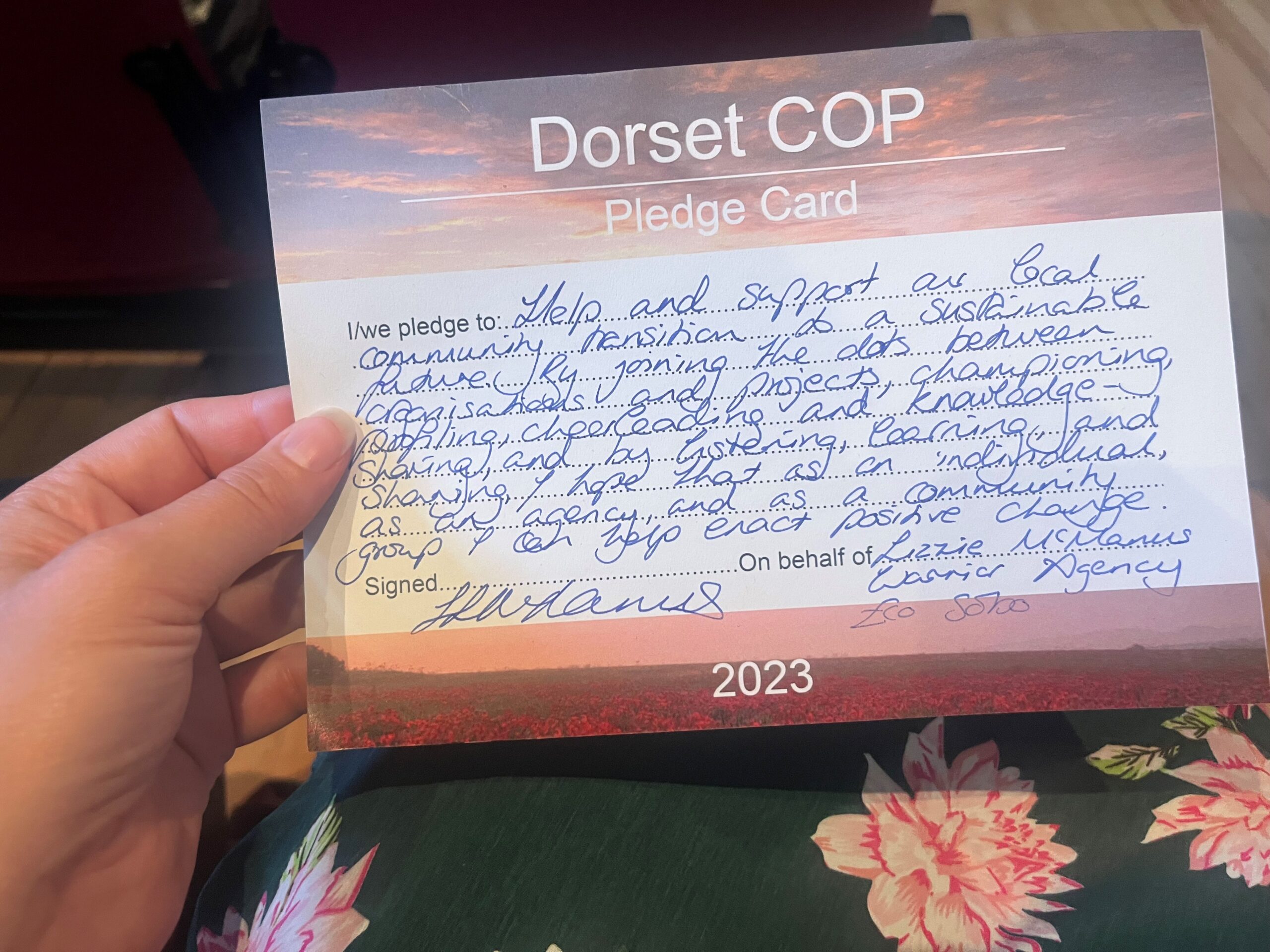 An outline of the Dorset COP pledge