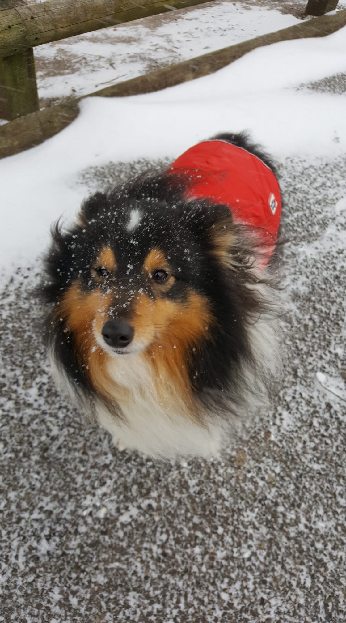 Photo: Rose Faulkner