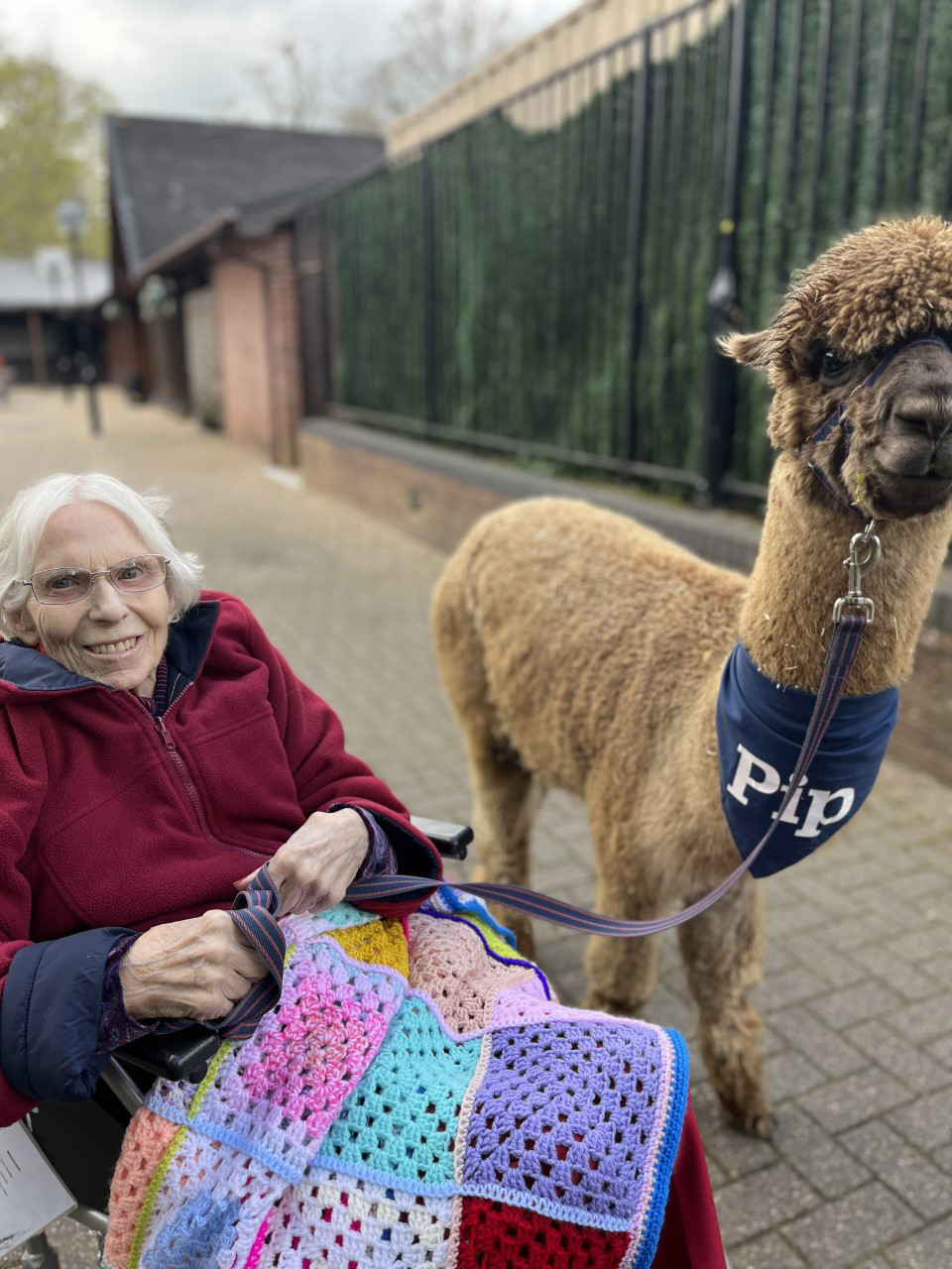Newstone House resident Joan Drake with Pip the alpaca