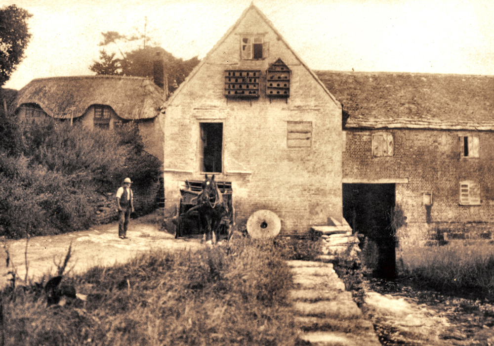 Early 1900s, with the millers’ cottage in the background. Archive photographs from Sturminster Newton Heritage Trust