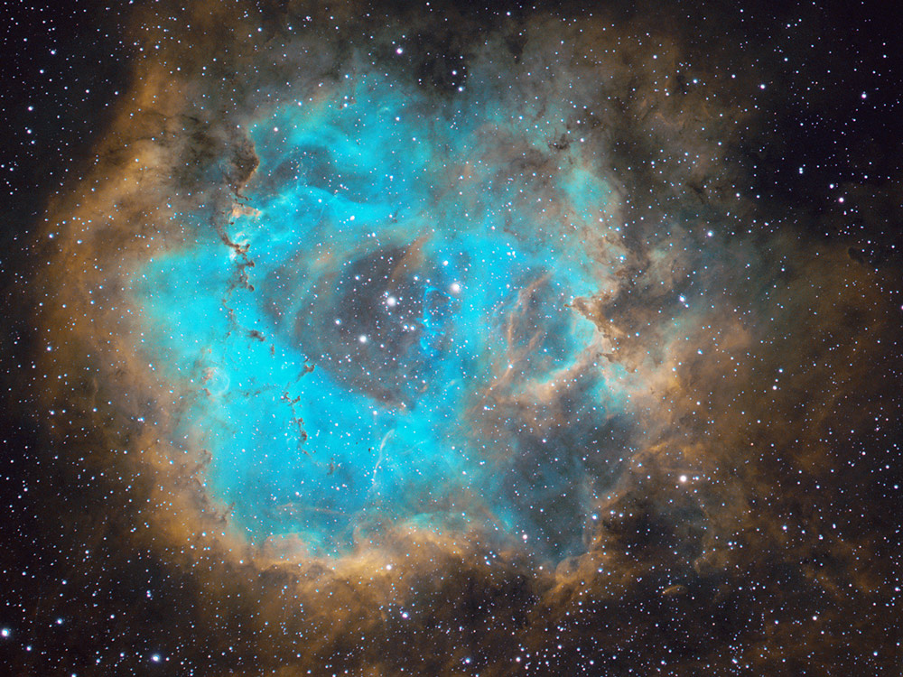 Hannah Rochford Rosette Nebula