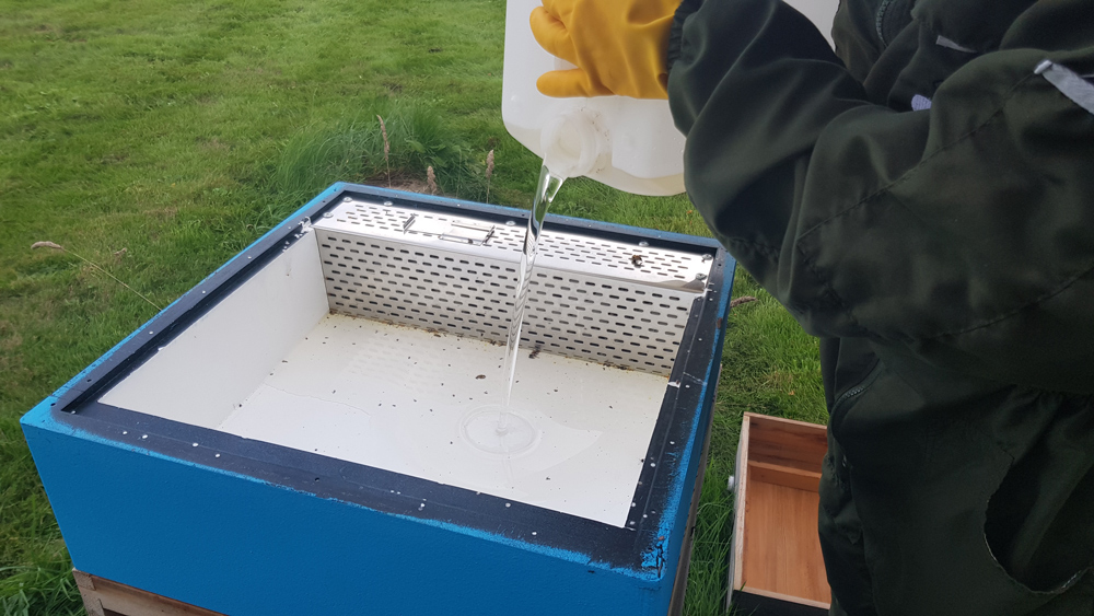 Putting the bees to bed for winter