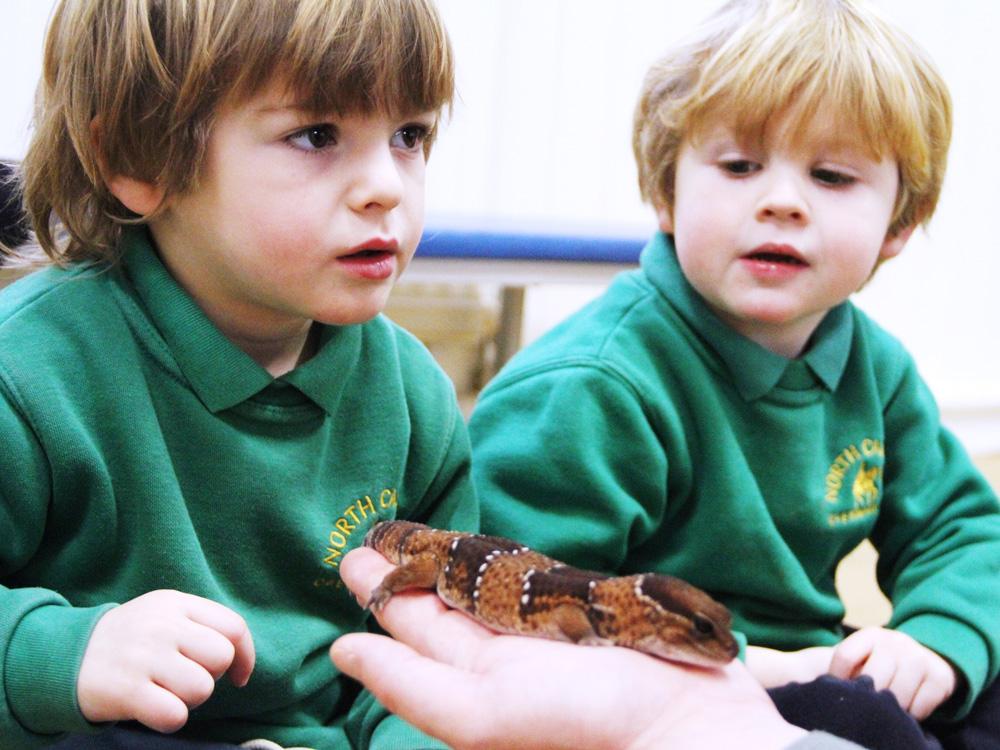 Animal Encounters, at North Cadbury Primary