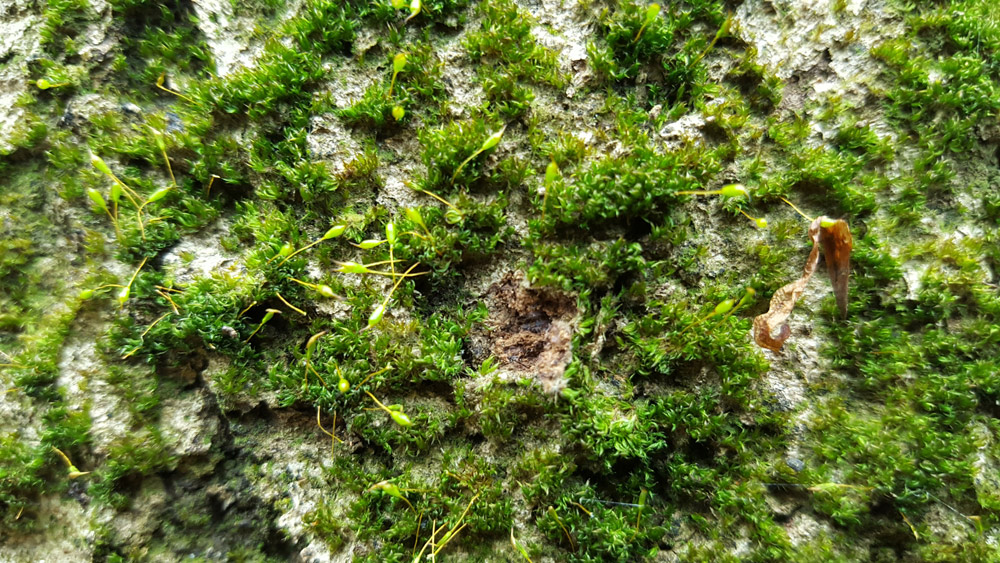 Photos: Rachel Harries; Alastair Hotchkiss; John Bridges; Steven Heathcote;Trevor Pendleton; Paul Williams