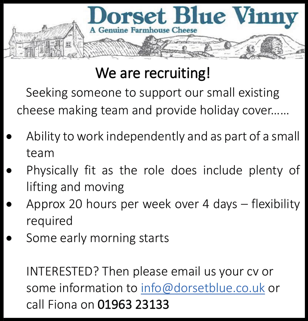 Dorset Blue Vinny Recruiting