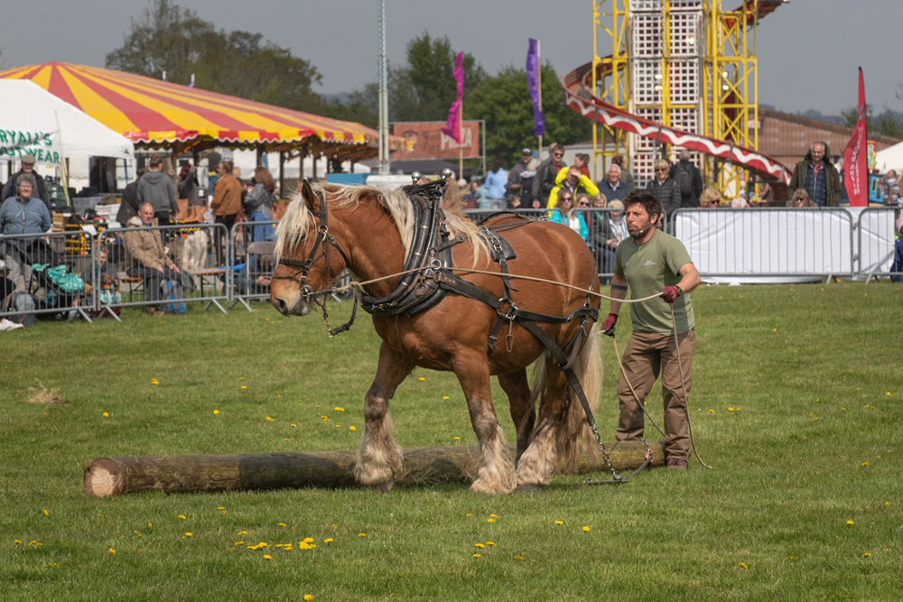 Shaftesbury & Gillingham Spring Show 2022. Rural skills were showcased at the Spring Countryside Show and bands performed, too