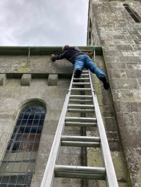 shaftesbury swifts, bird box installation John's Church